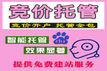 百度竞价推广的优化策略：一家科技公司的成功经验